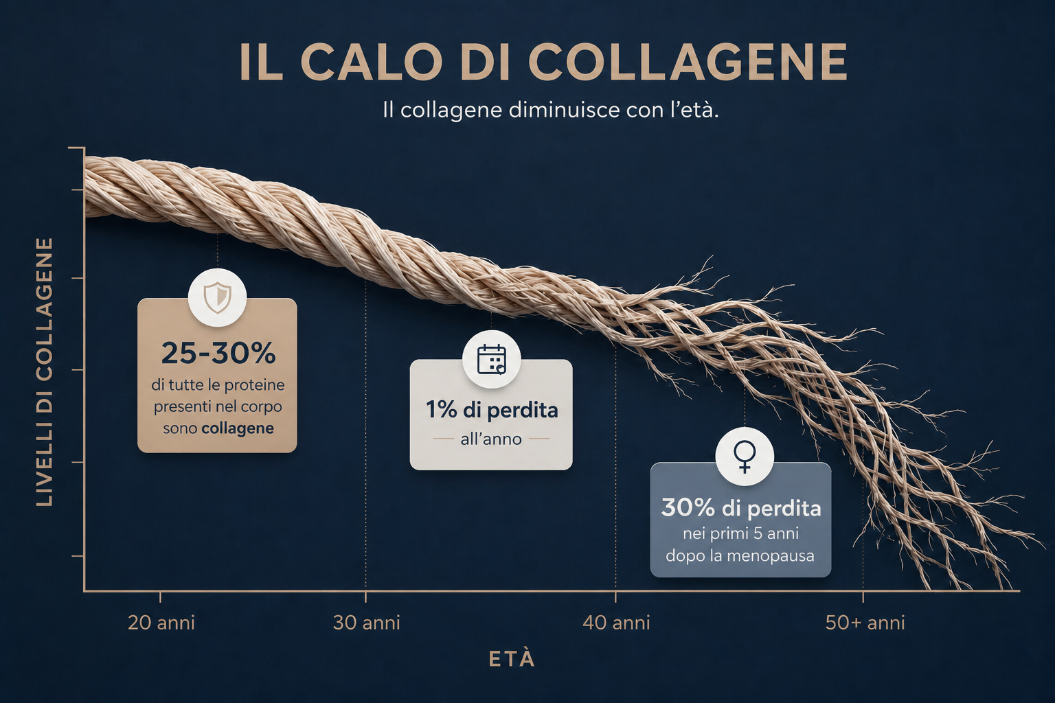 Grafico che mostra il crollo della produzione naturale di collagene a partire dai 25 anni, con caduta libera dopo la menopausa.