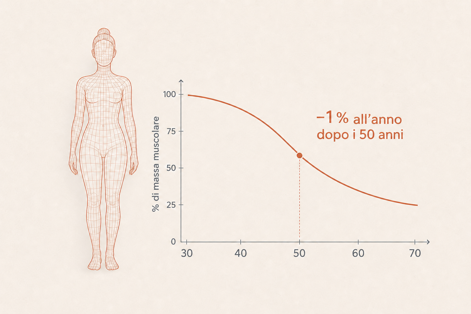 Illustrazione della sarcopenia: la perdita silenziosa di massa muscolare dopo i 50