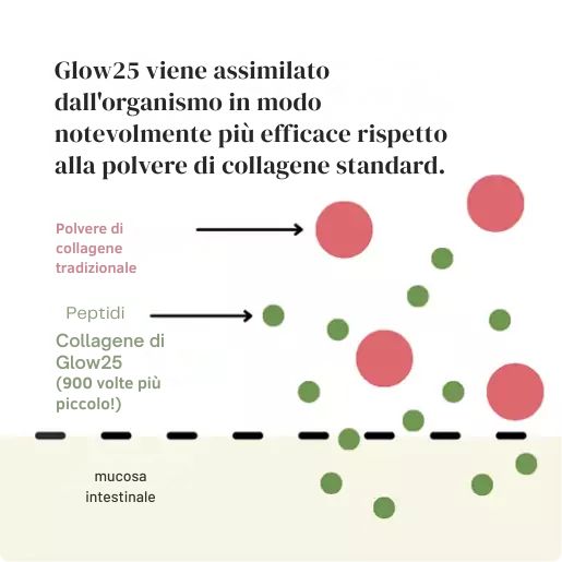 I cinque criteri di qualità per un vero tripeptide di collagene marino